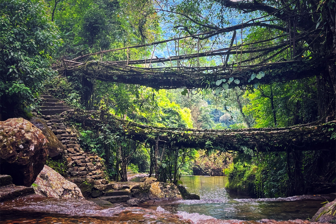 Meghalaya, the clouds, hills and double decker root bridges