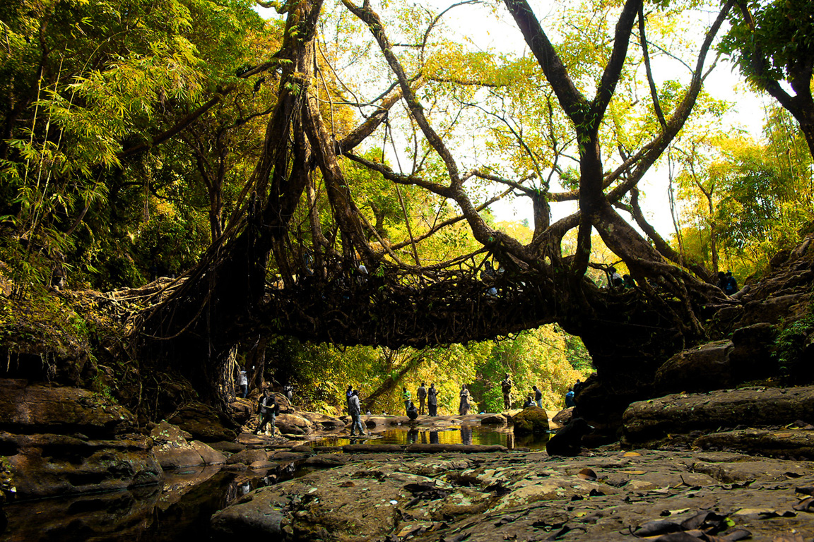 Wet and wild Meghalaya and Assam